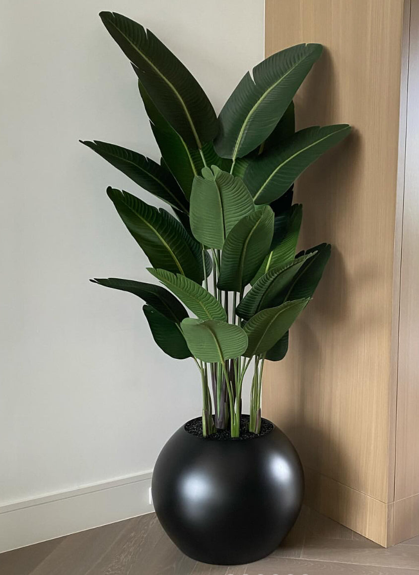 BIRD OF PARADISE IN MATTE BLACK GLOBE VASE