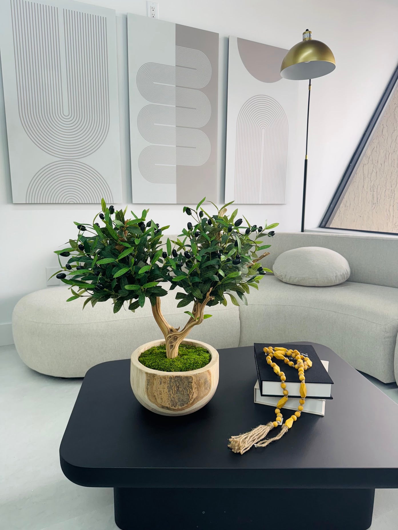 BONSAI OLIVE TREE IN REAL WOOD