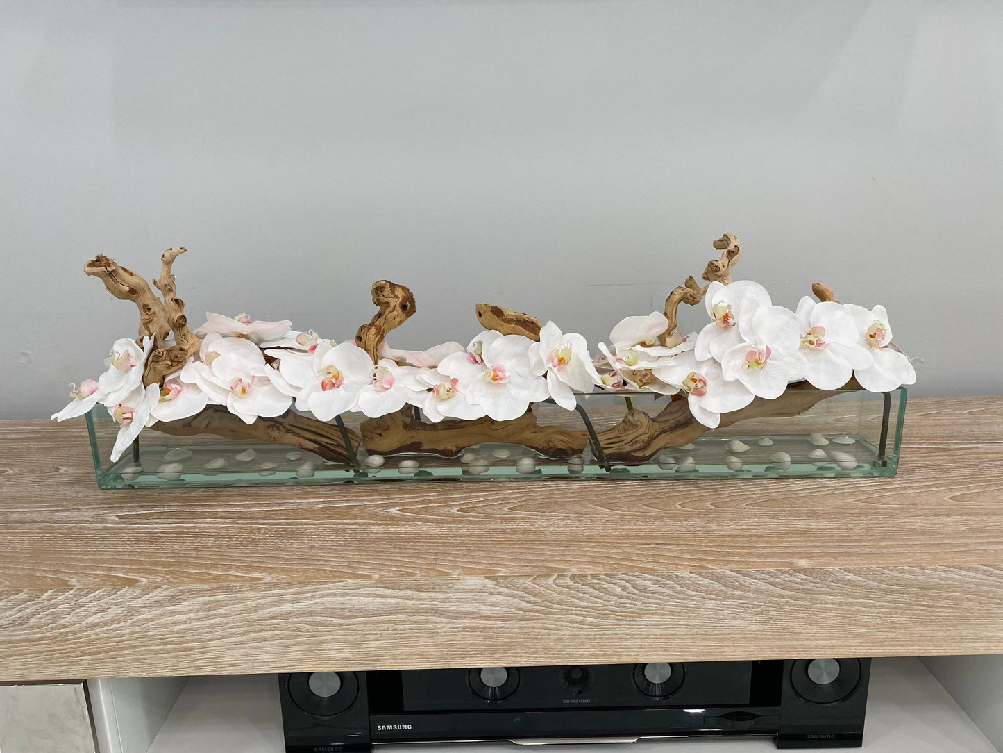 ORCHID AQUARIUM WITH NATURAL WOOD
