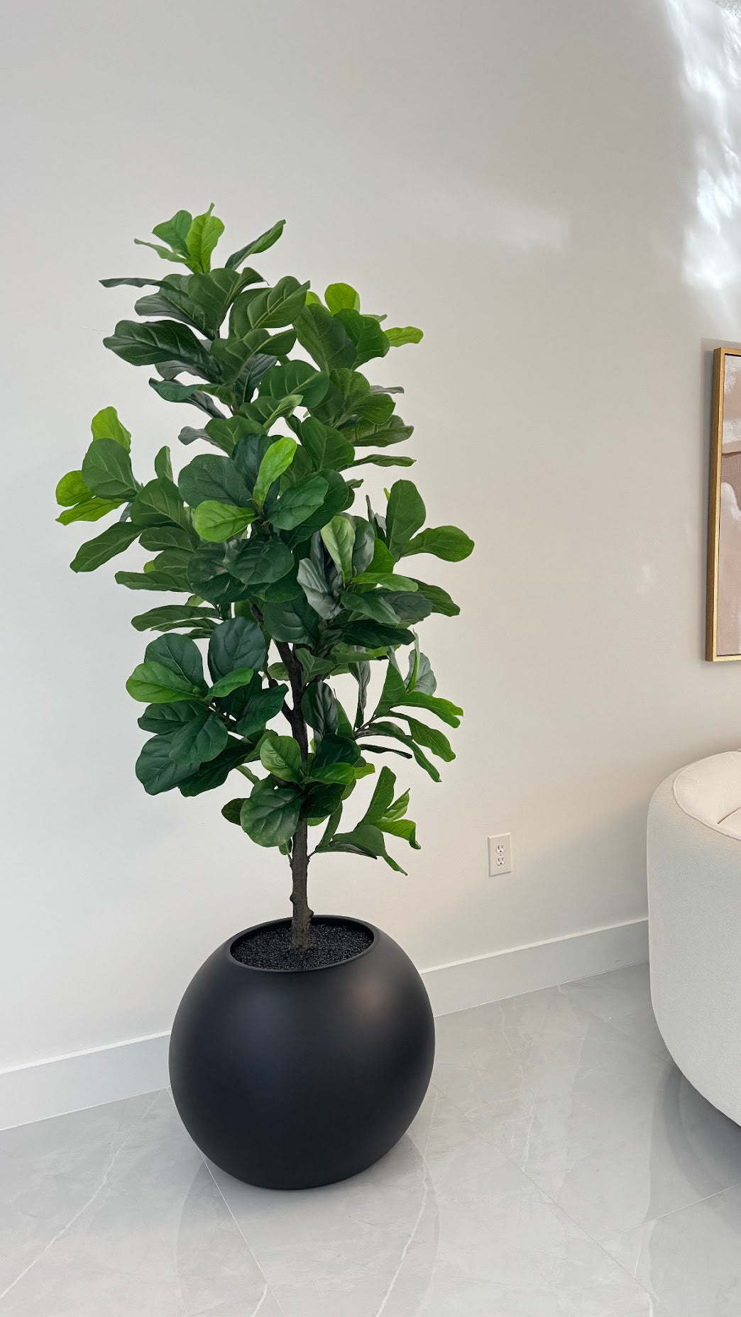 FIDDLE LEAF IN MATTE BLACK GLOBE VASE