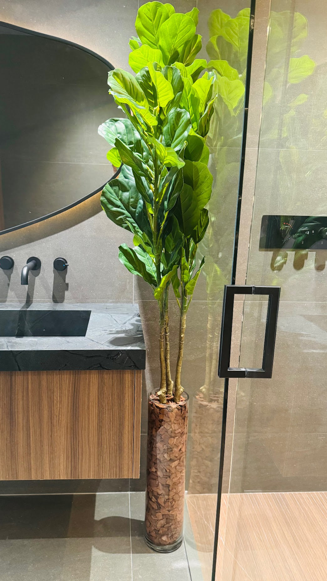 FIDDLE LEAF WITH WOOD IN GLASS CYLINDER