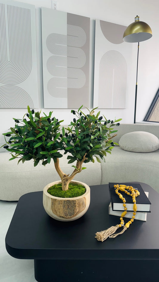 BONSAI OLIVE TREE IN REAL WOOD