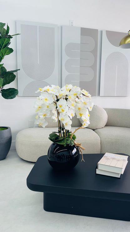 ORCHIDS IN BLACK GLASS VASE