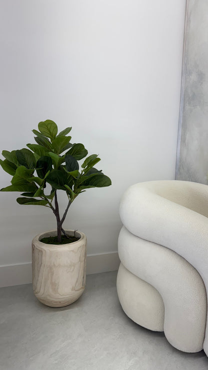 FIDDLE LEAF IN WOOD VASE WITH MOSS