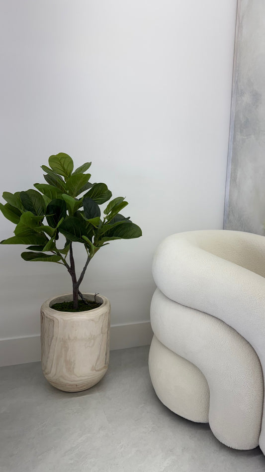 FIDDLE LEAF IN WOOD VASE WITH MOSS