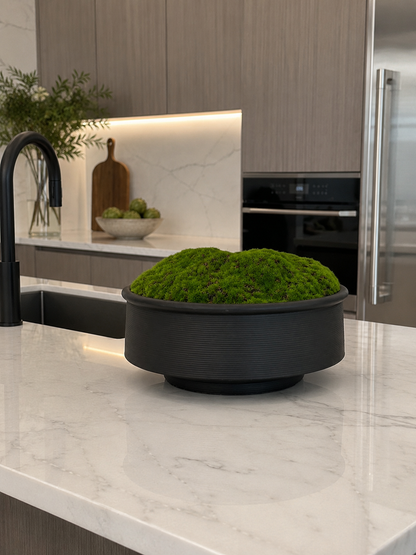 DECORATIVE MOSS ARRANGEMENT IN MATTE BLACK BOWL