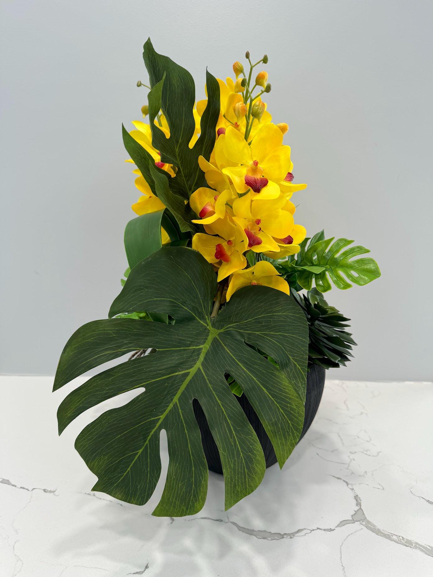 YELLOW ORCHIDS IN BLACK VASE