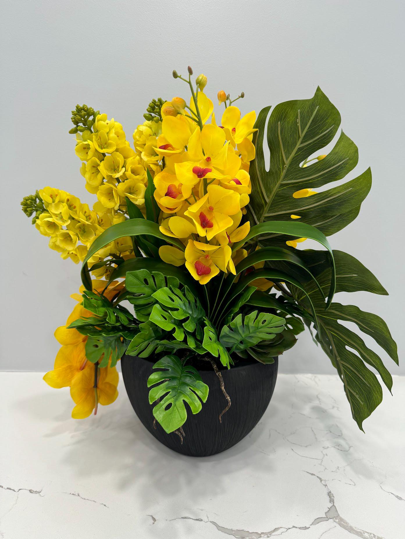 YELLOW ORCHIDS IN BLACK VASE