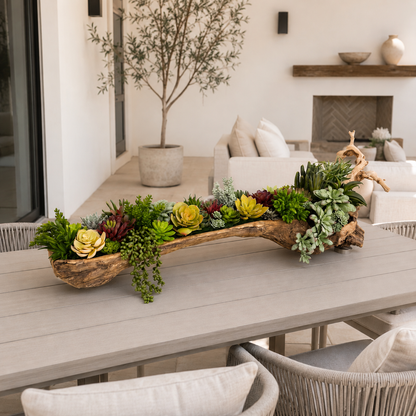 SUCCULENT ARRANGEMENT IN NATURAL WOOD BASE