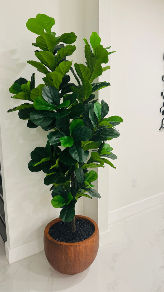 FIDDLE LEAF IN ROUND VASE