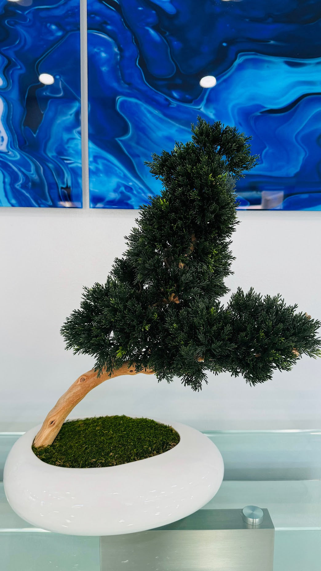 BONSAI PINE TREE – REALISTIC BONSAI IN REAL WOOD
