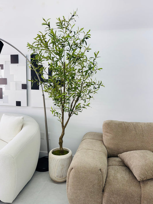 OLIVE TREE 7' IN WOOD VASE