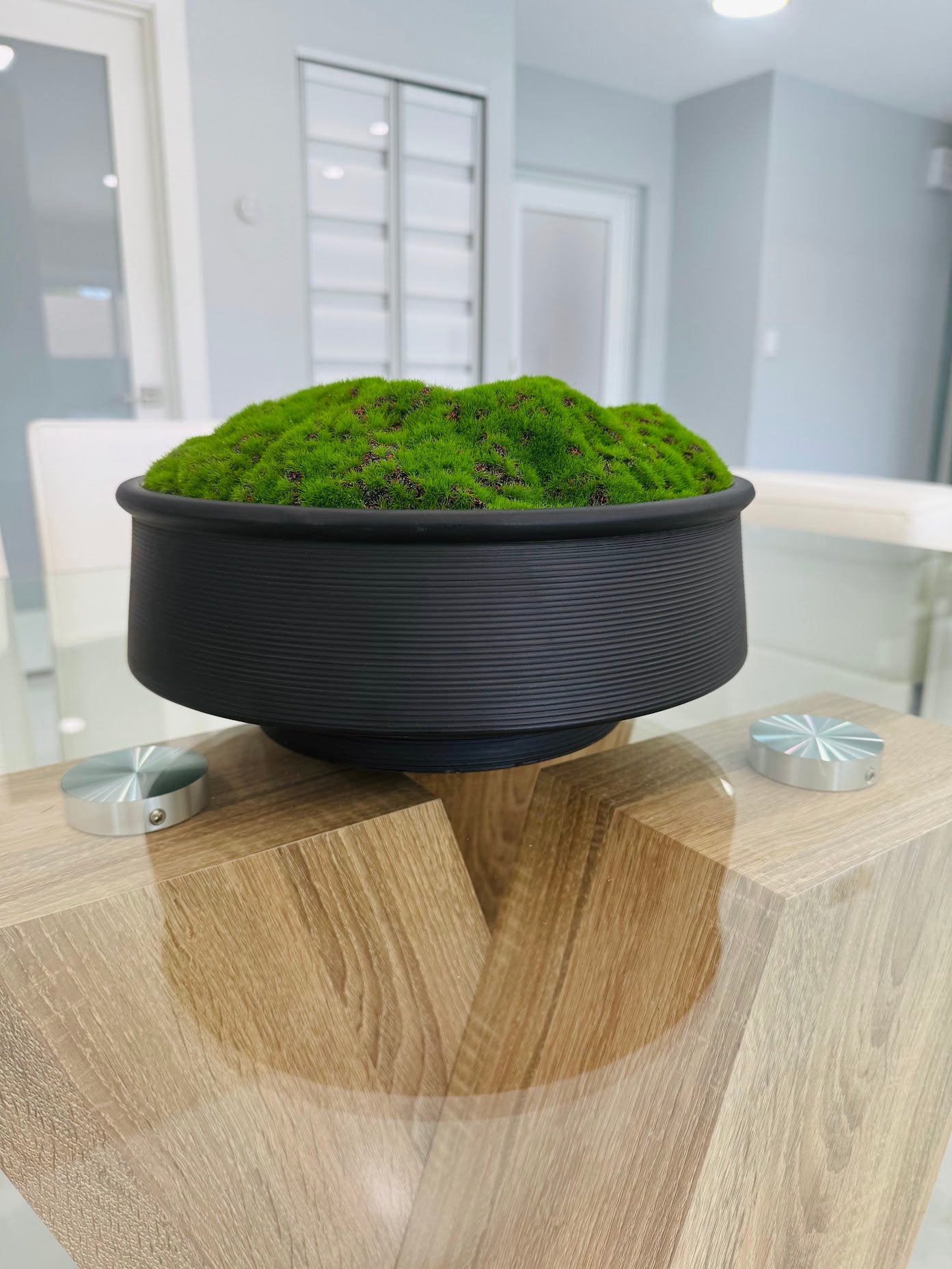 DECORATIVE MOSS ARRANGEMENT IN MATTE BLACK BOWL