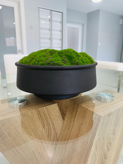 DECORATIVE MOSS ARRANGEMENT IN MATTE BLACK BOWL