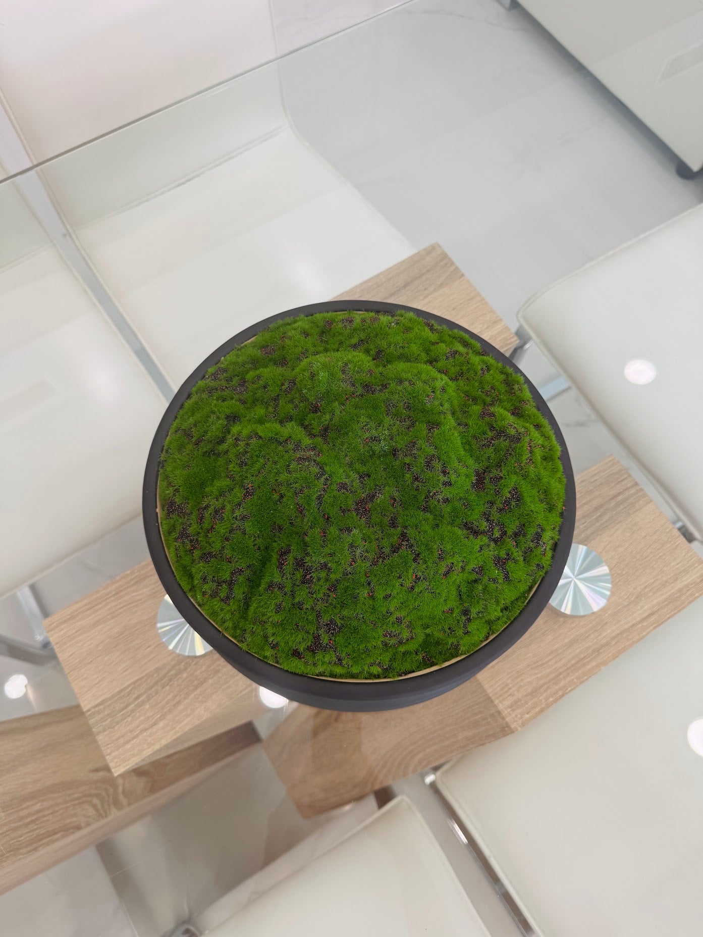DECORATIVE MOSS ARRANGEMENT IN MATTE BLACK BOWL