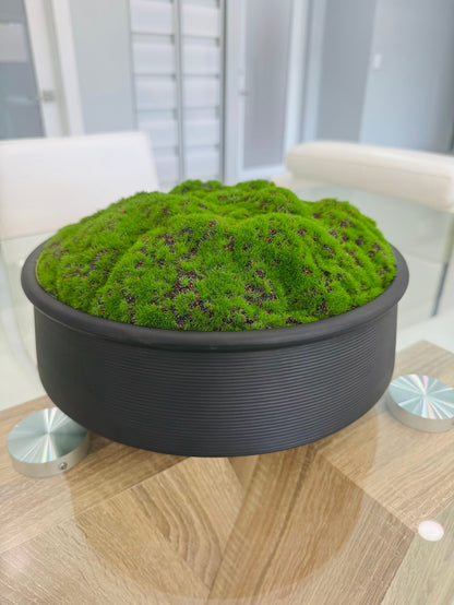 DECORATIVE MOSS ARRANGEMENT IN MATTE BLACK BOWL