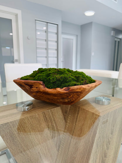 DECORATIVE MOSS ARRANGEMENT IN NATURAL WOOD BOWL