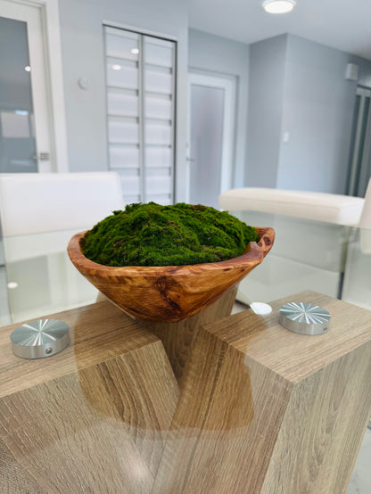 DECORATIVE MOSS ARRANGEMENT IN NATURAL WOOD BOWL