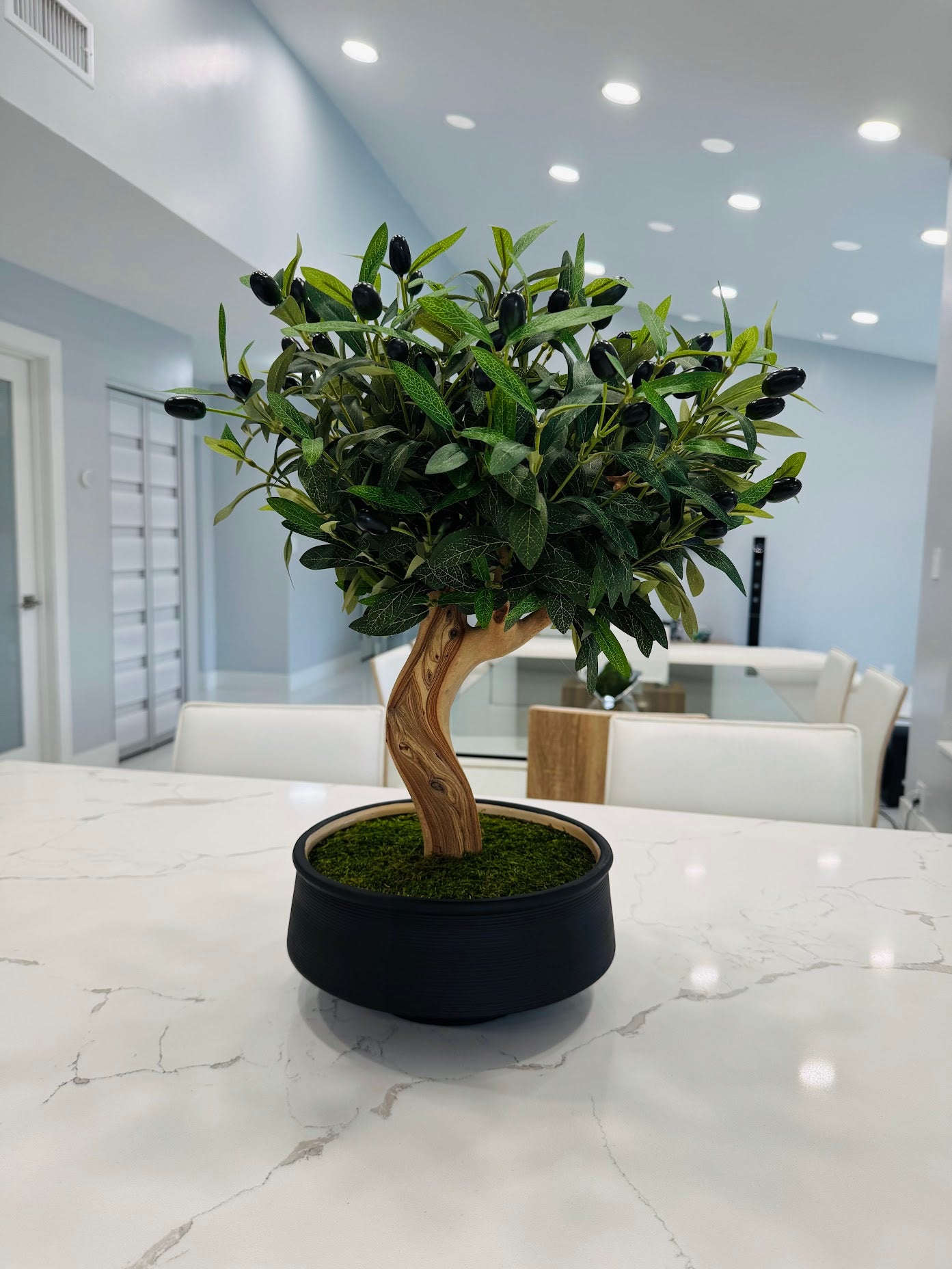 BONSAI OLIVE TREE – REALISTIC BONSAI IN REAL WOOD