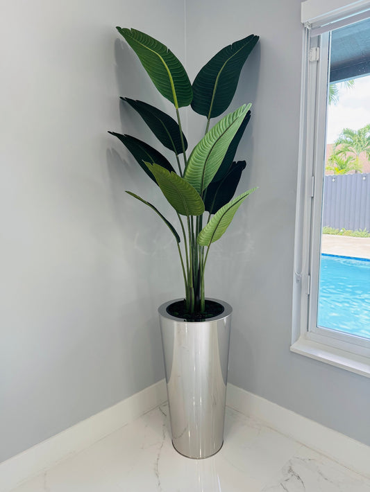 BIRD OF PARADISE PLANT IN SILVER BASE