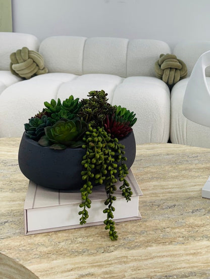 SUCCULENTS IN MODERN CERAMIC VASE