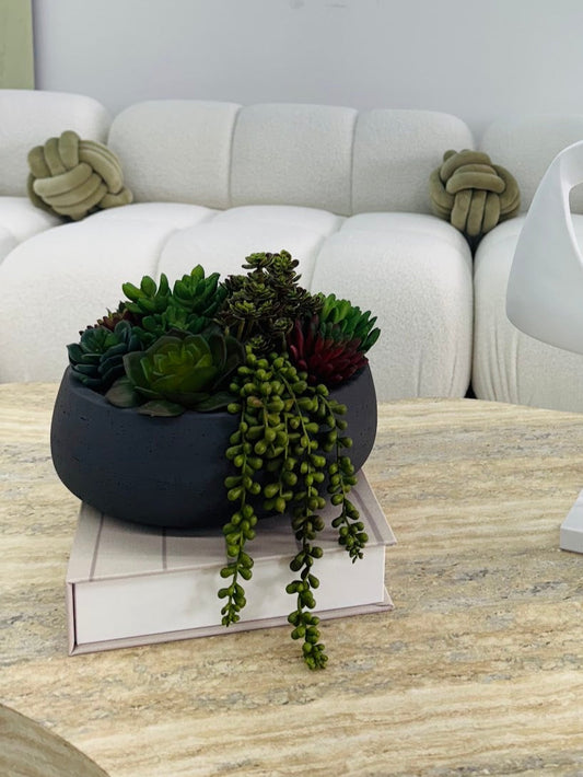 SUCCULENTS IN MODERN CERAMIC VASE