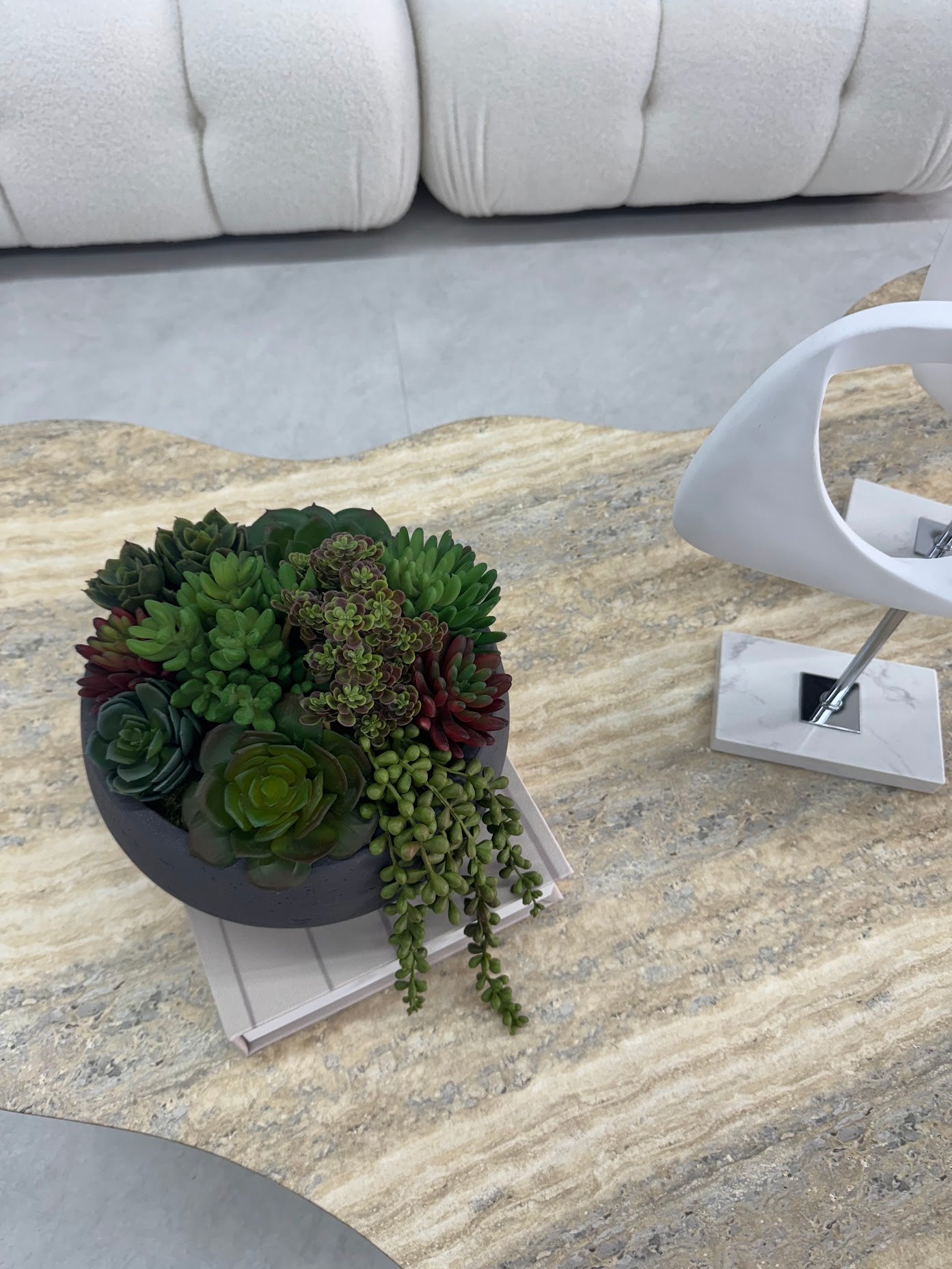 SUCCULENTS IN MODERN CERAMIC VASE