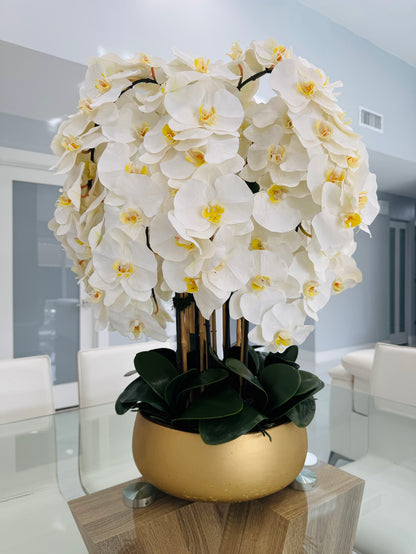 WHITE ORCHIDS IN GOLD VASE