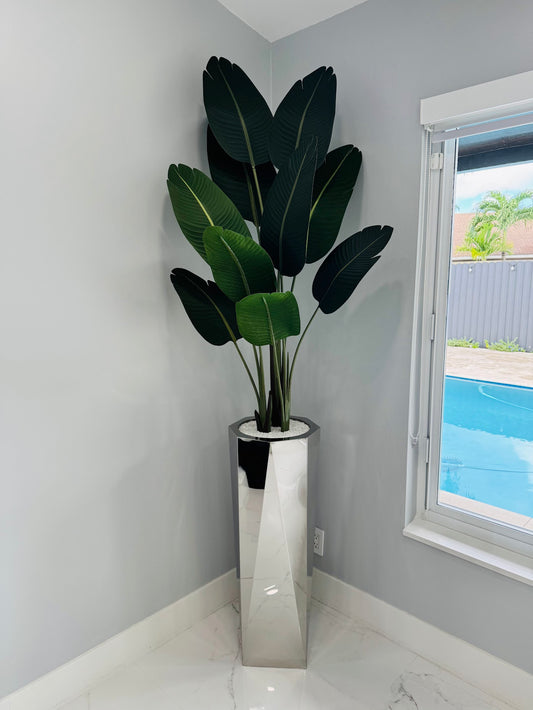 BIRD OF PARADISE PLANT IN PRISM SILVER BASE
