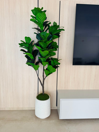 FIDDLE LEAF IN MODERN VASE