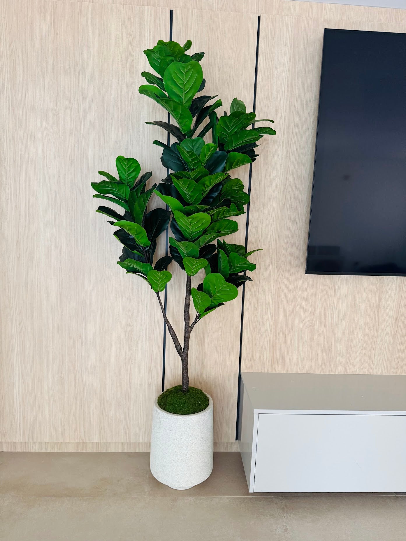 FIDDLE LEAF IN MODERN VASE