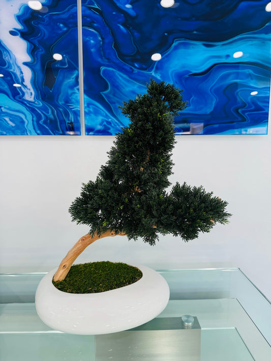 BONSAI PINE TREE – REALISTIC BONSAI IN REAL WOOD