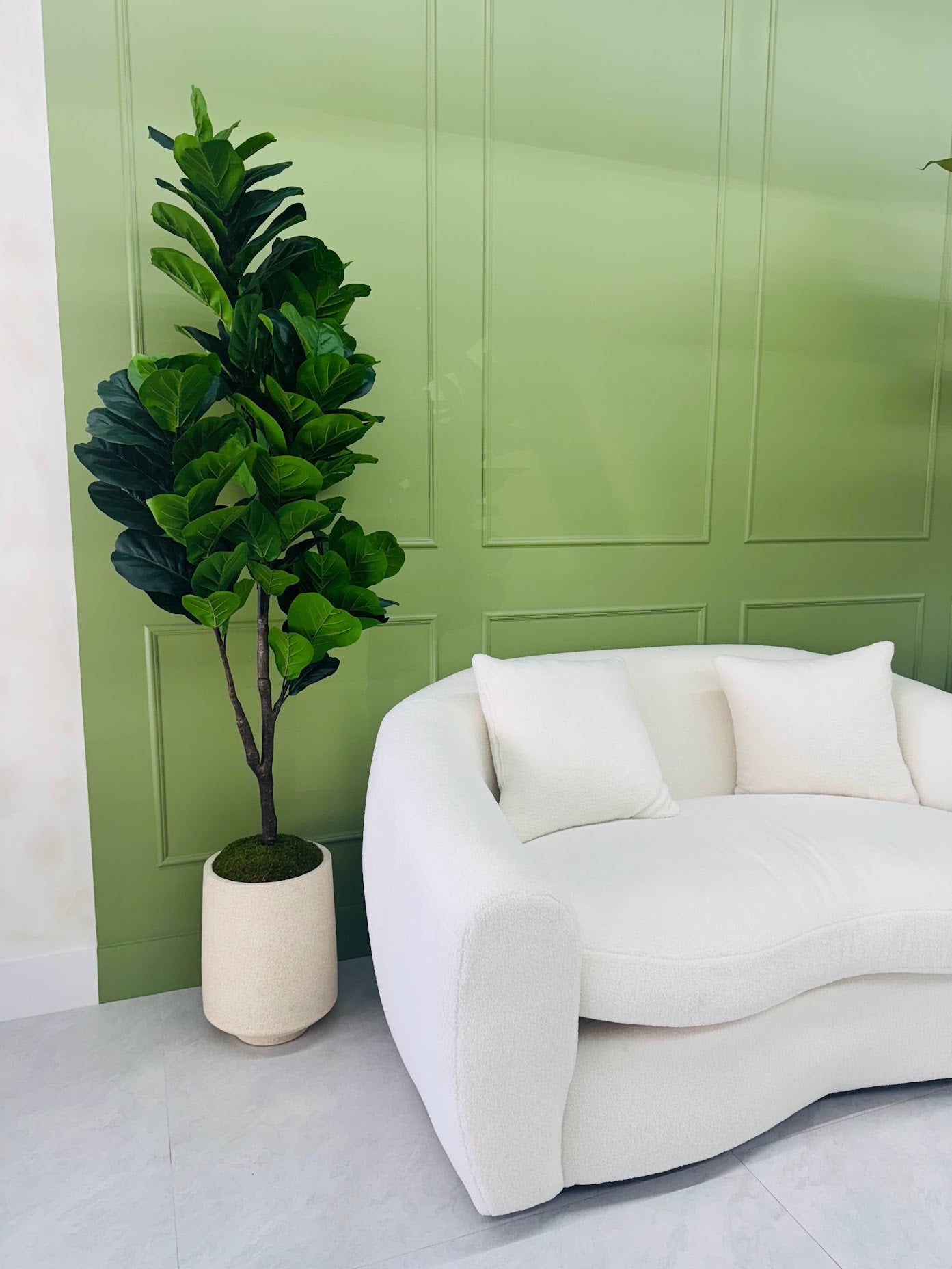 FIDDLE LEAF IN MODERN VASE