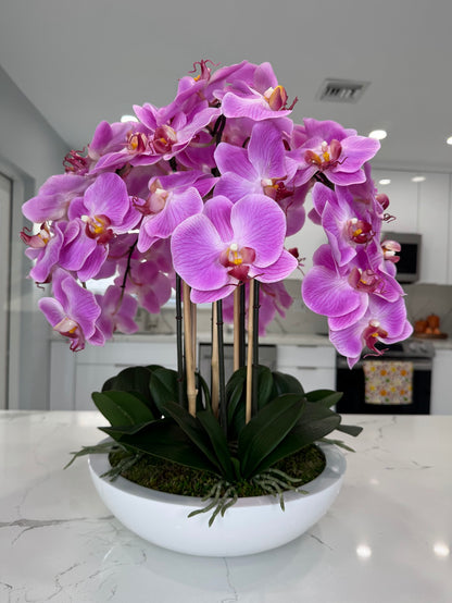 PINK ORCHIDS IN WHITE VASE