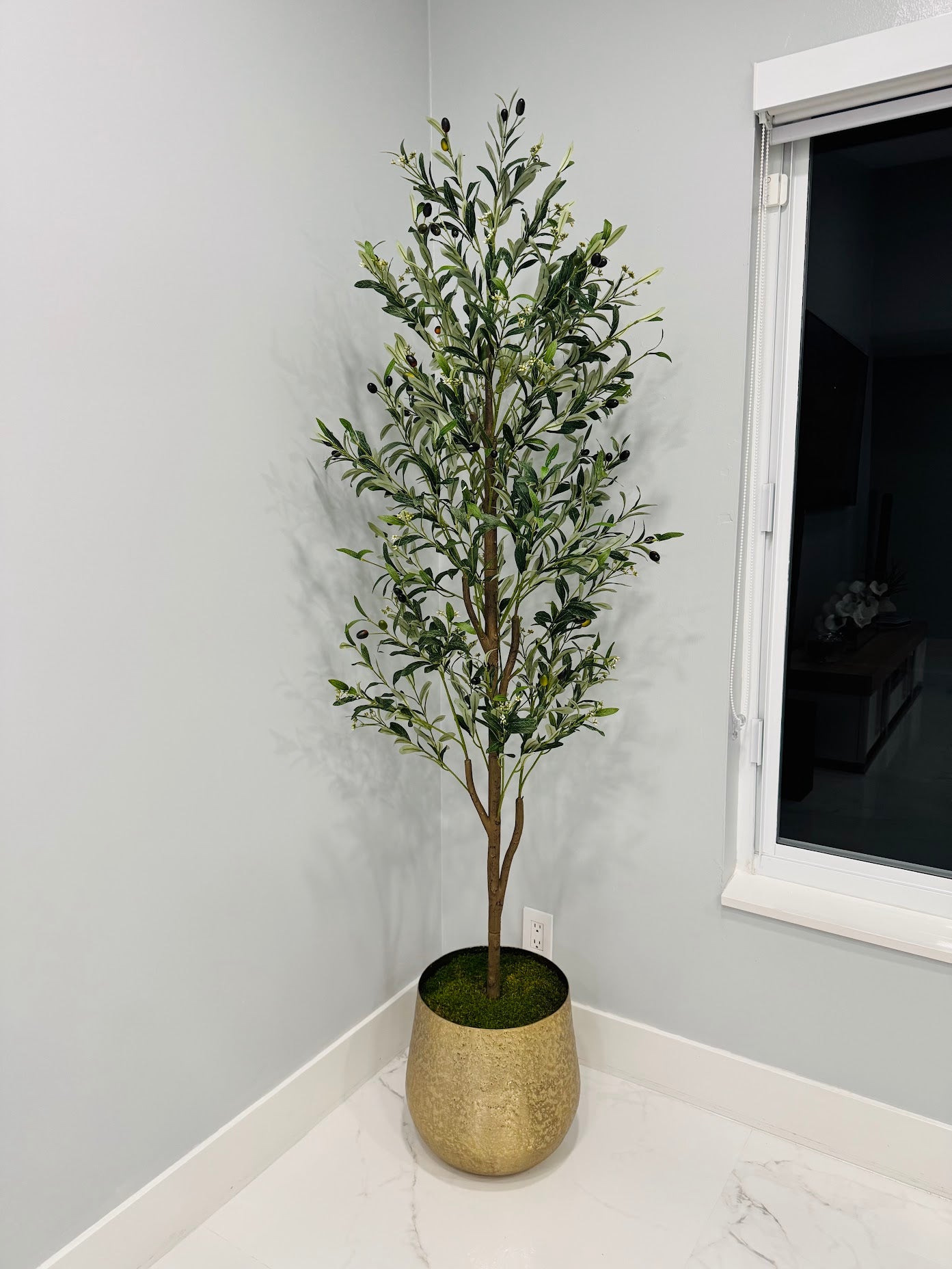 OLIVE TREE 6' IN GOLD VASE