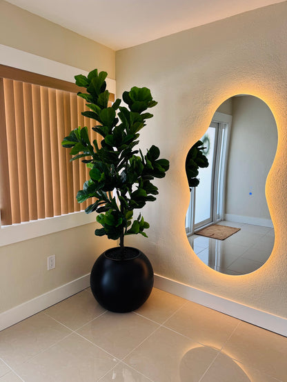 FIDDLE LEAF IN MATTE BLACK GLOBE VASE