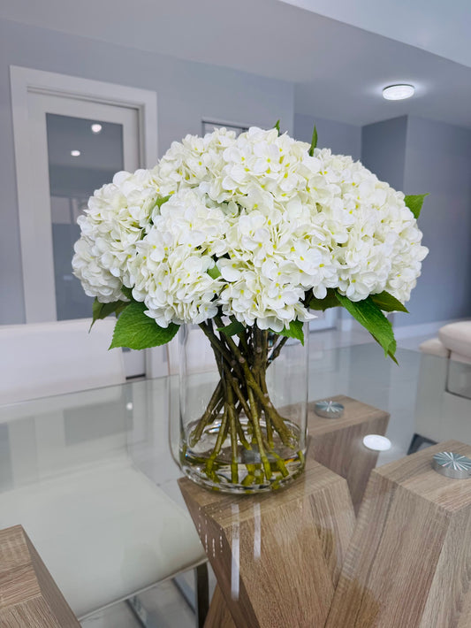 HYDRANGEAS IN CYLINDER VASE