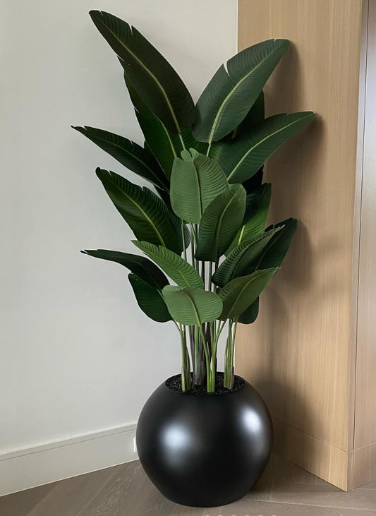 BIRD OF PARADISE IN MATTE BLACK GLOBE VASE