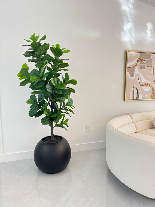 FIDDLE LEAF IN MATTE BLACK GLOBE VASE