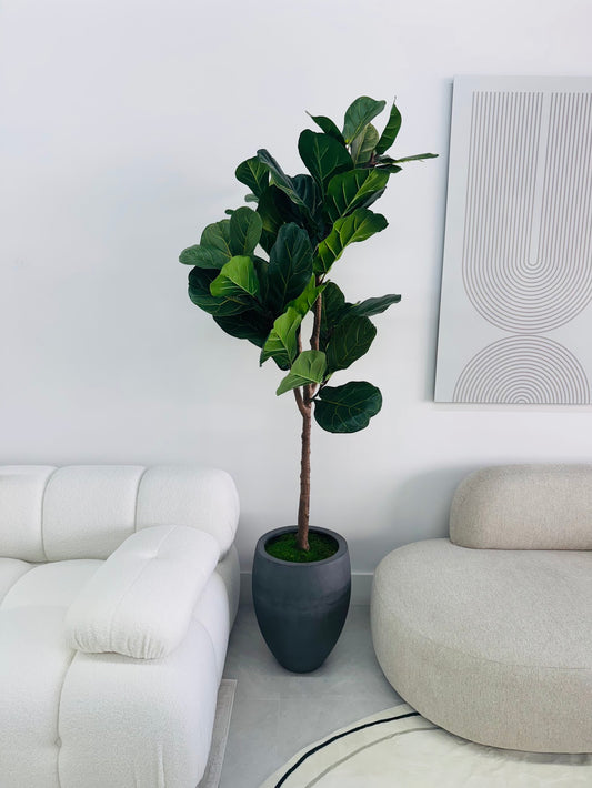 FIDDLE LEAF IN GRAY VASE WITH MOSS