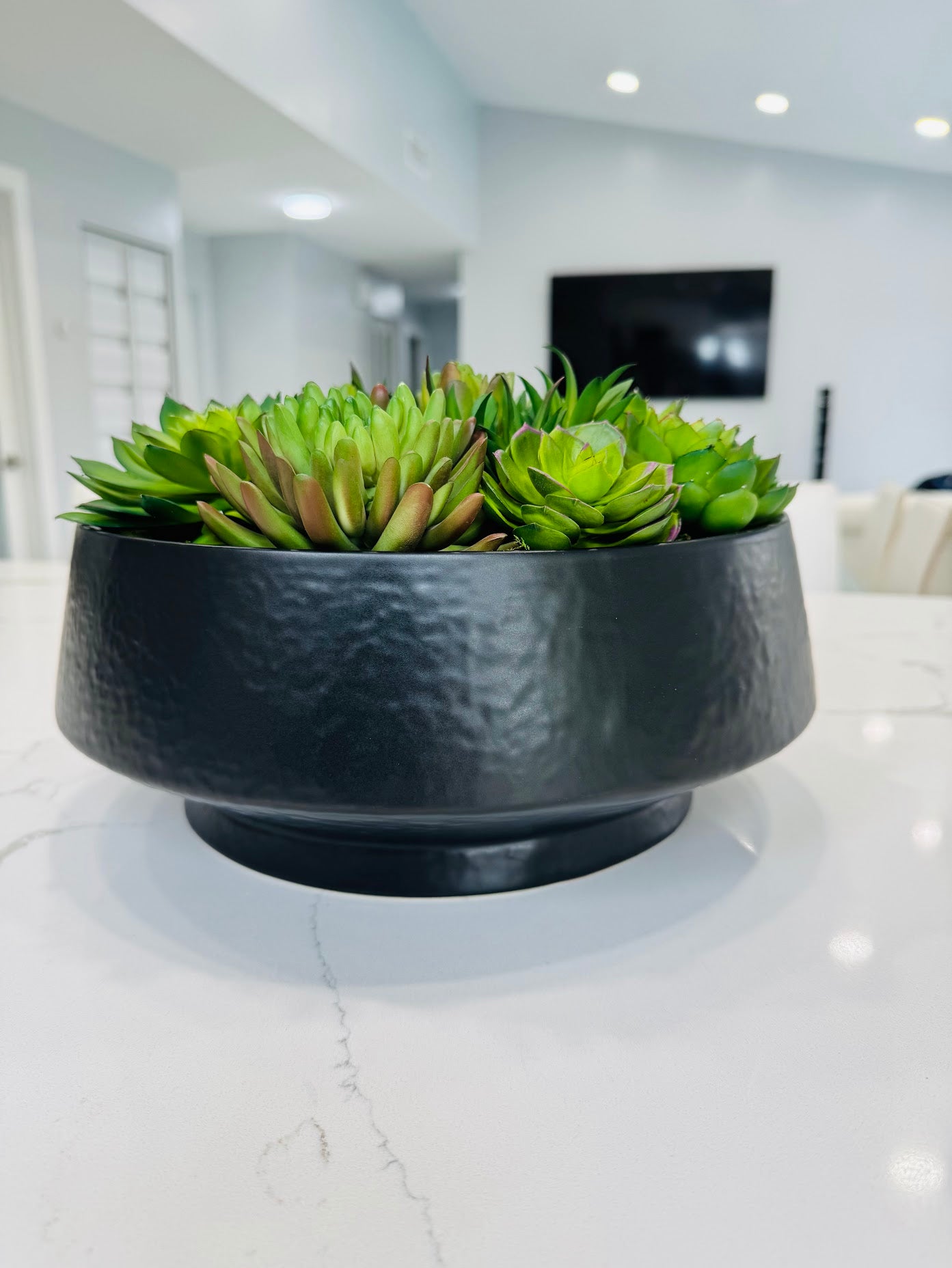 ARTIFICIAL SUCCULENT IN BLACK BOWL VASE