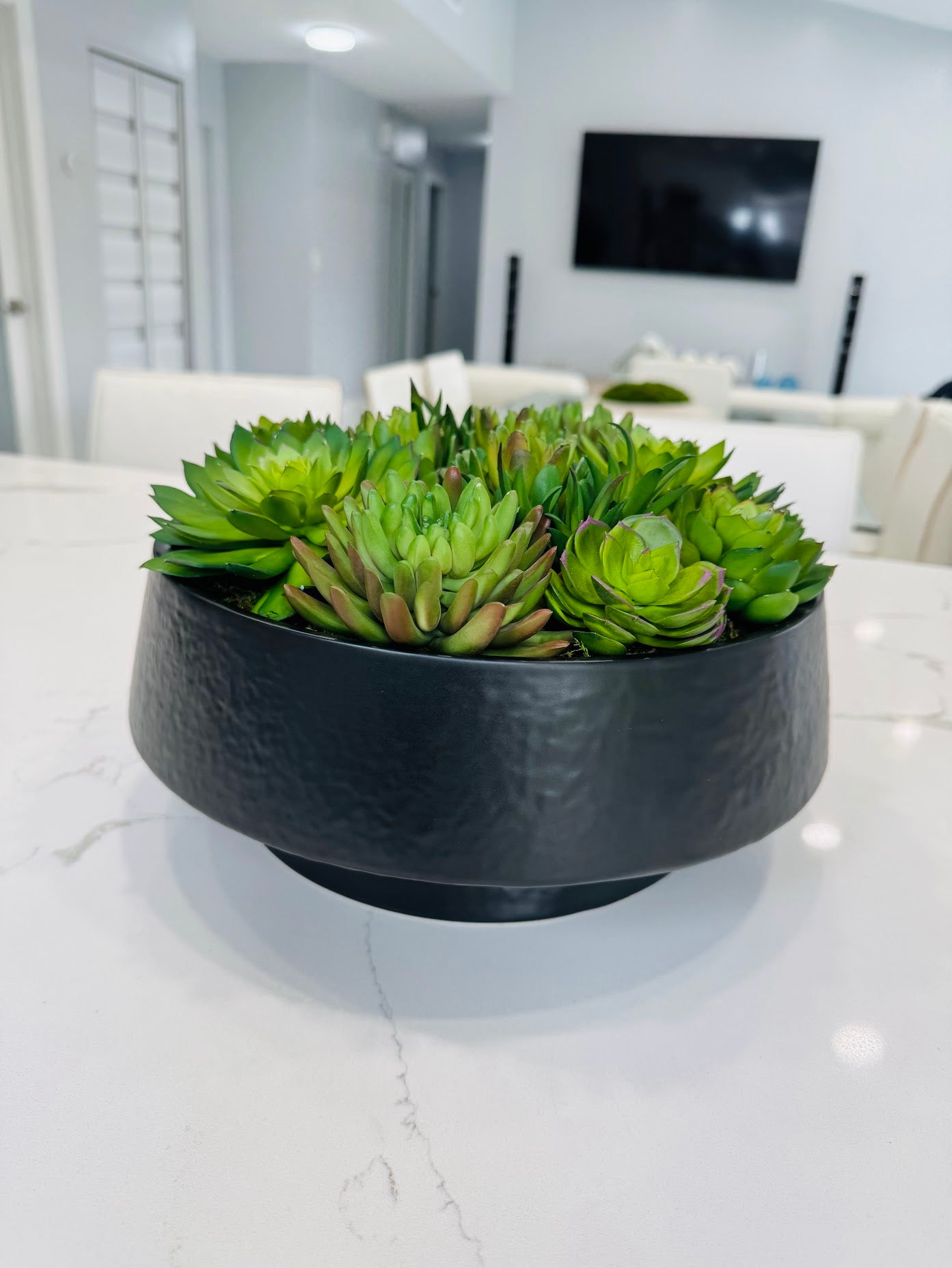 ARTIFICIAL SUCCULENT IN BLACK BOWL VASE