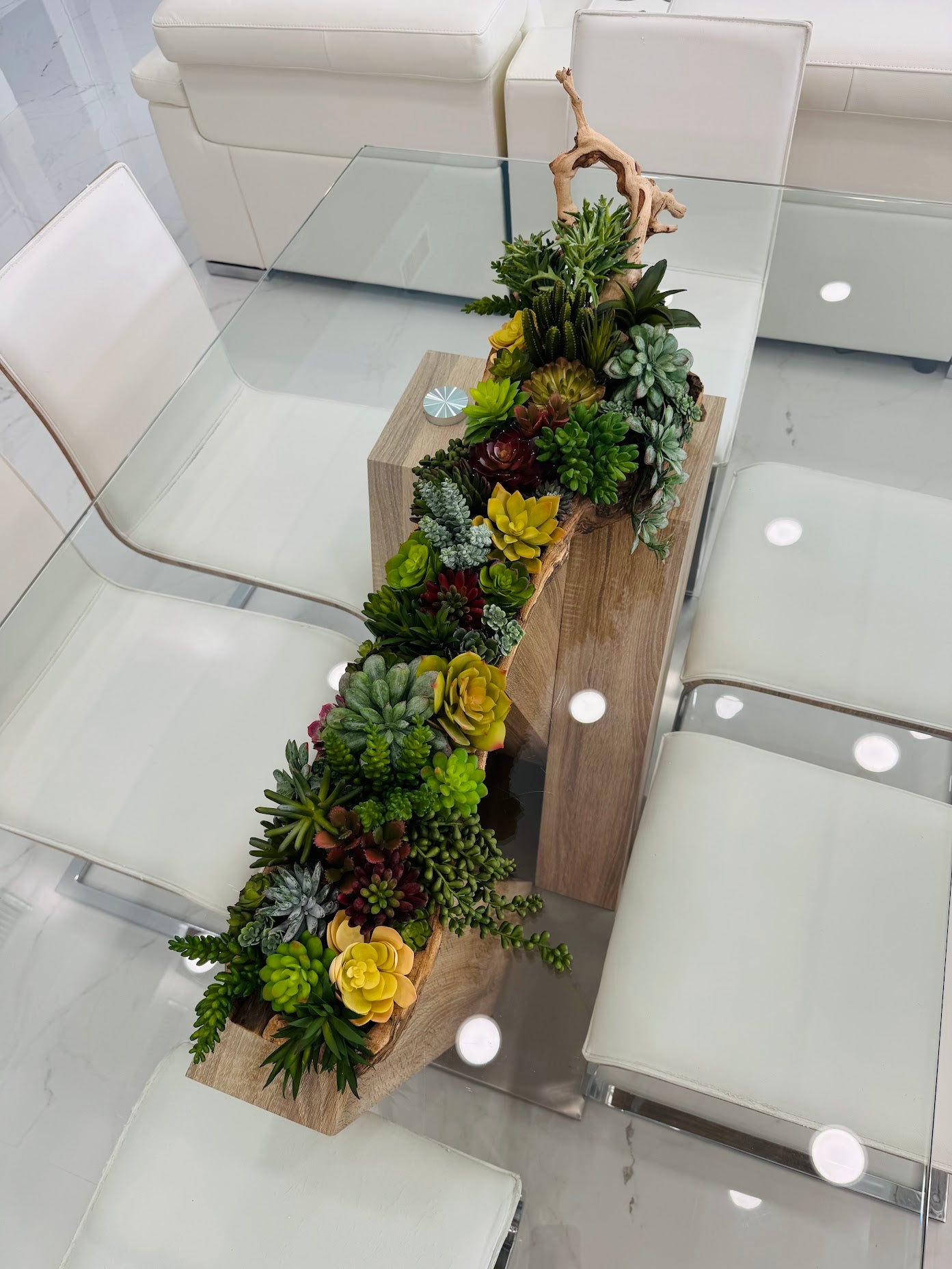 SUCCULENT ARRANGEMENT IN NATURAL WOOD BASE