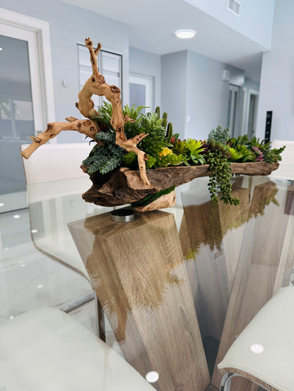 SUCCULENT ARRANGEMENT IN NATURAL WOOD BASE