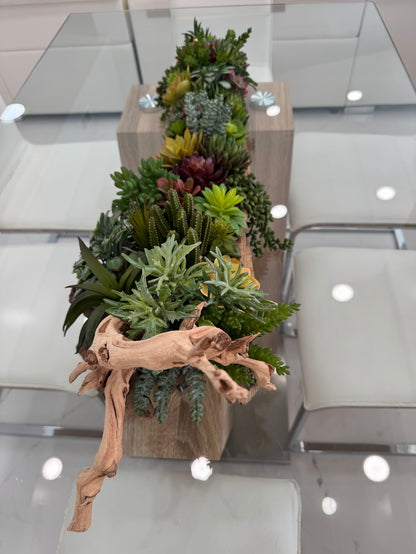 SUCCULENT ARRANGEMENT IN NATURAL WOOD BASE
