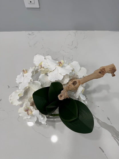 BOWL WITH VANDA ORCHIDS AND WOOD