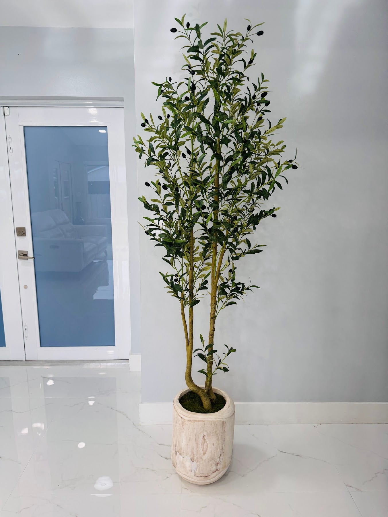 OLIVE TREE 6' IN WOOD VASE