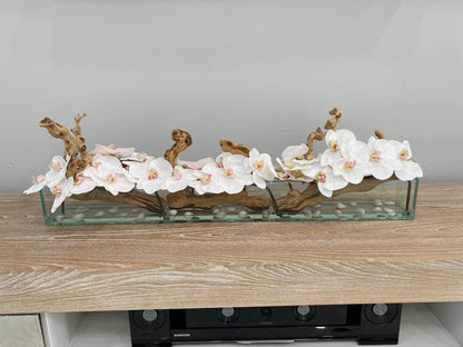 ORCHID AQUARIUM WITH NATURAL WOOD