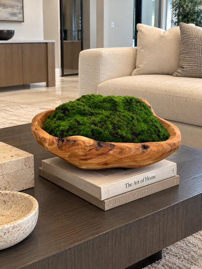 DECORATIVE MOSS ARRANGEMENT IN NATURAL WOOD BOWL