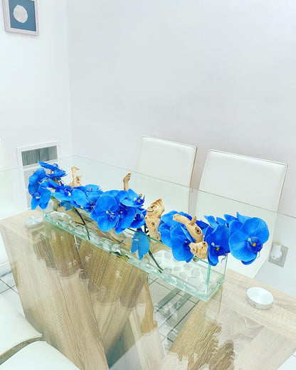 ORCHID AQUARIUM WITH NATURAL WOOD